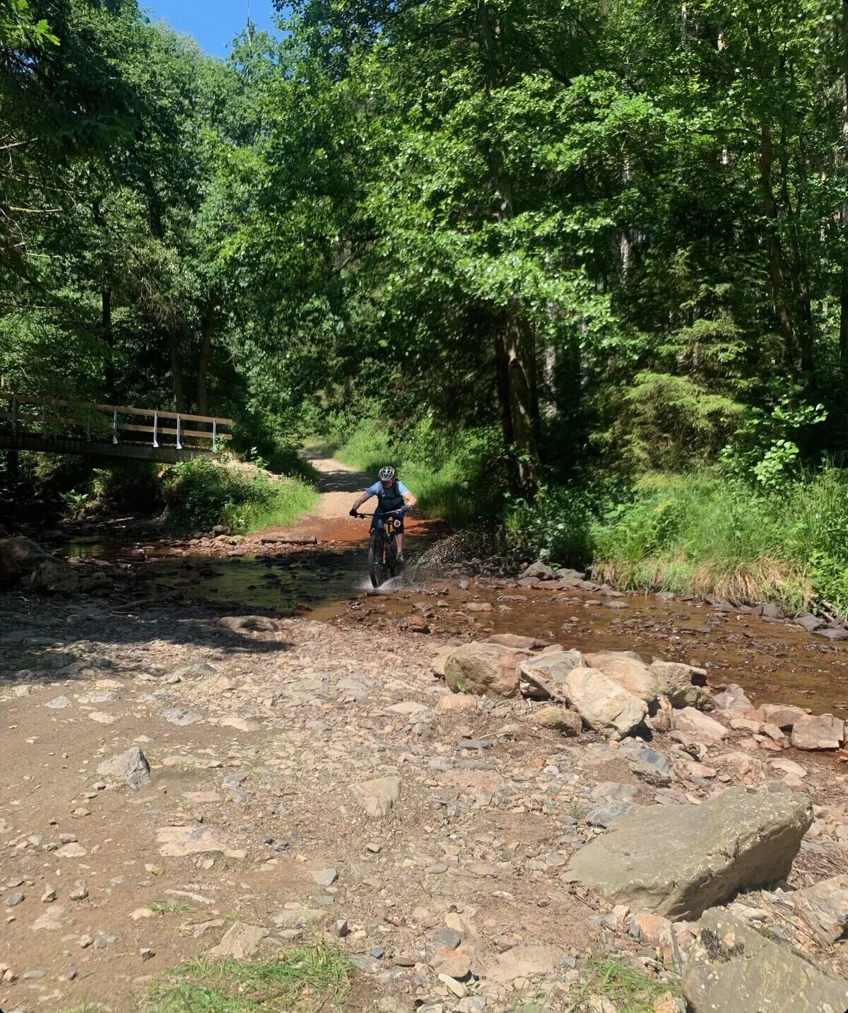Person auf dem Mountainbike überquert einen flachen Bach auf einem steinigen Weg im Wald. | © DAV Dortmund