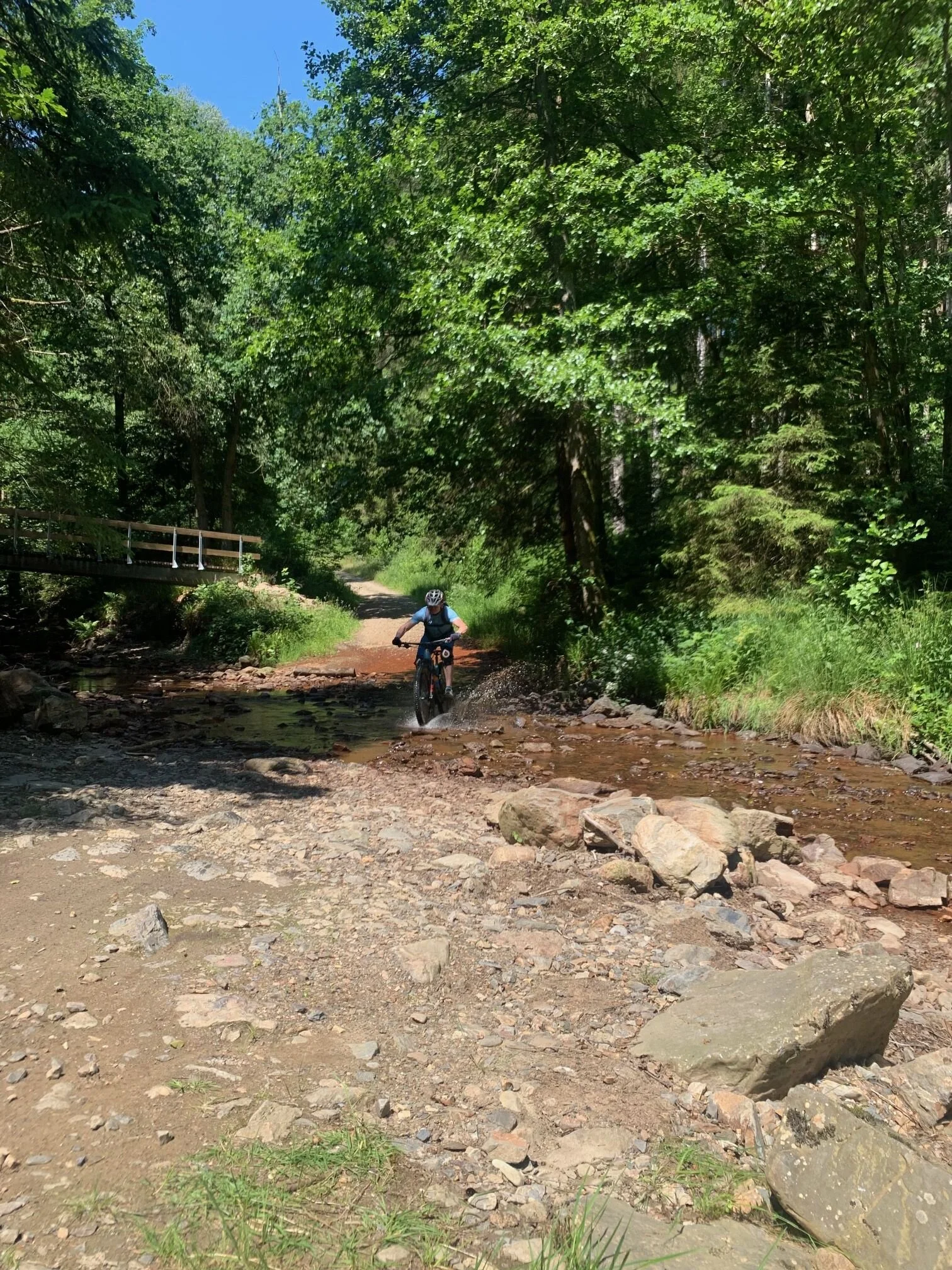 Person auf dem Mountainbike überquert einen flachen Bach auf einem steinigen Weg im Wald. | © DAV Dortmund