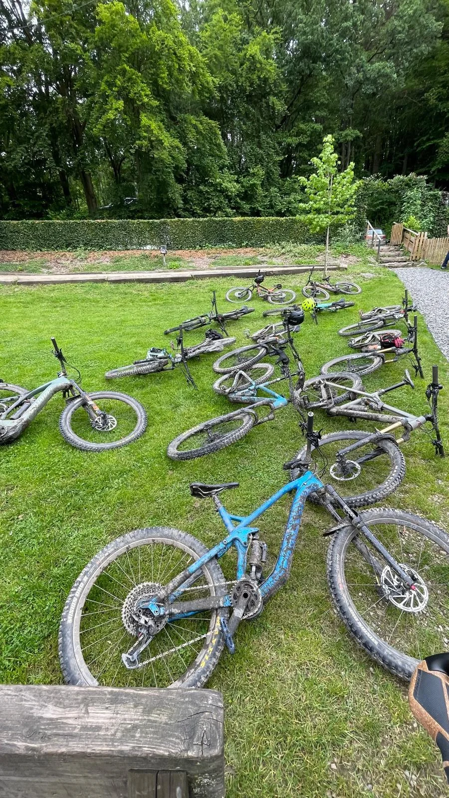 Mehrere Mountainbikes liegen auf einer grünen Wiese, umgeben von Bäumen. | © DAV Dortmund
