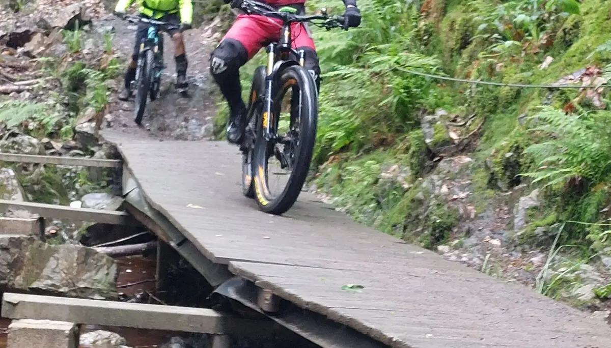 Zwei Mountainbiker überqueren eine schmale Holzbrücke in einem bewaldeten Gebiet. | © DAV Dortmund 