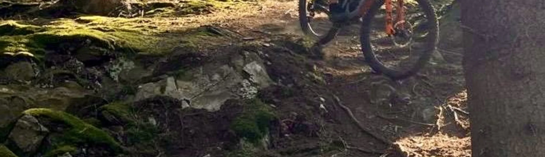 Mountainbiker fährt einen schmalen Trail mit Felsen und Wurzeln zwischen den Bäumen hinab. | © DAV Dortmund