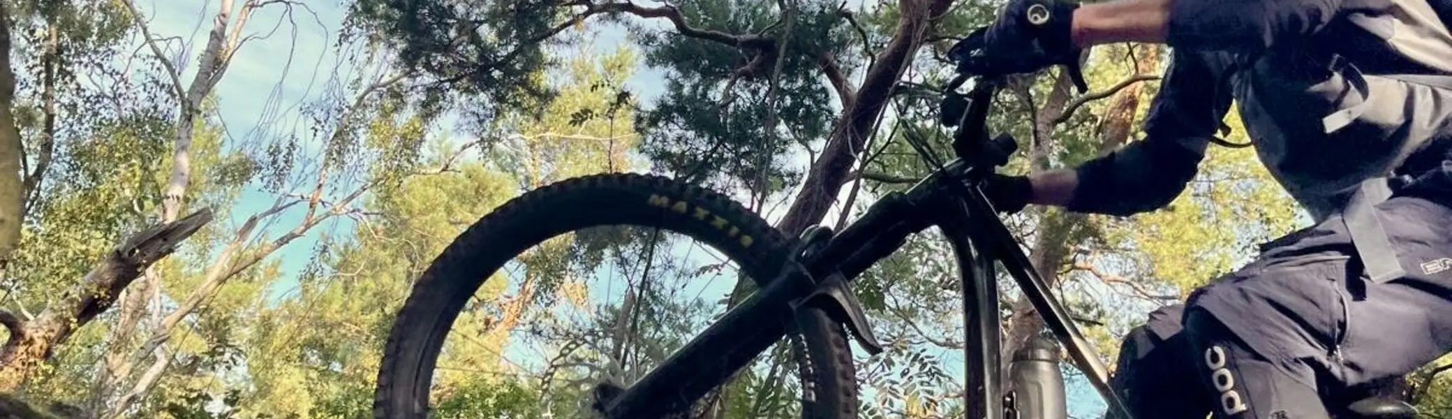 Mountainbiker springt mit Schwung von einem großen Felsen inmitten von Bäumen. | © DAV Dortmund