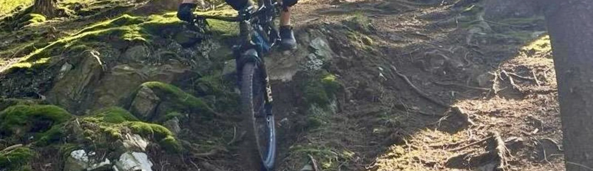 Mountainbiker rollt vorsichtig einen steilen Wurzelpfad im lichten Wald hinunter. | © DAV Dortmund