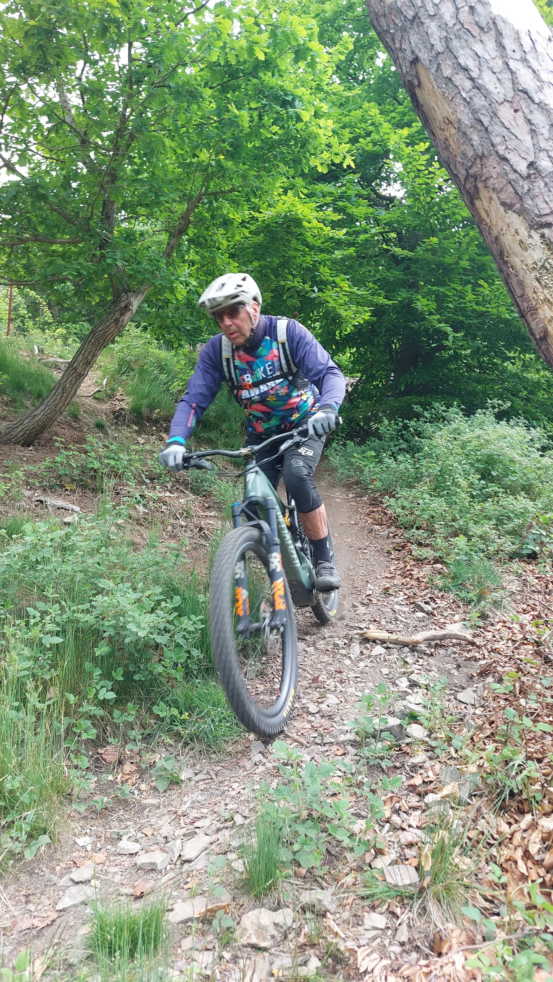 Ein Mountainbiker fährt konzentriert einen schmalen, kurvigen Waldpfad bergab. | © DAV Dortmund