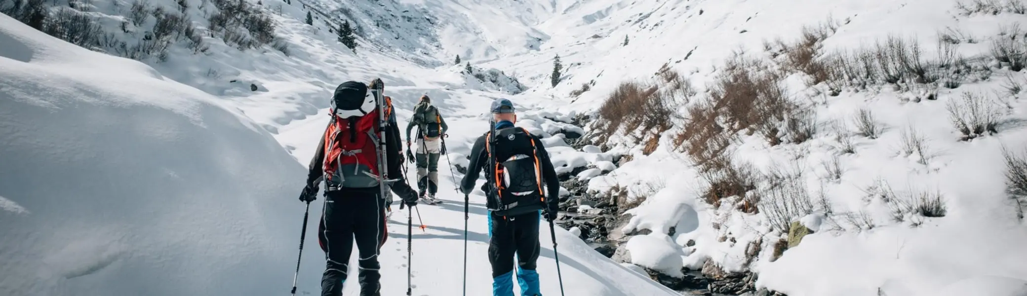Skitourengeher auf einem verschneiten Weg von hinten | © Tim Hilbrand
