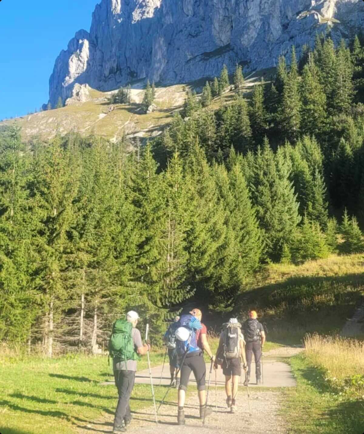 Kleine Wandergruppe auf einem Waldweg mit hohen Felsen und Bäumen bei Sonnenschein. | © DAV Dortmund