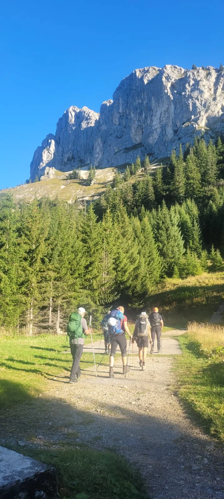 Kleine Wandergruppe auf einem Waldweg mit hohen Felsen und Bäumen bei Sonnenschein. | © DAV Dortmund