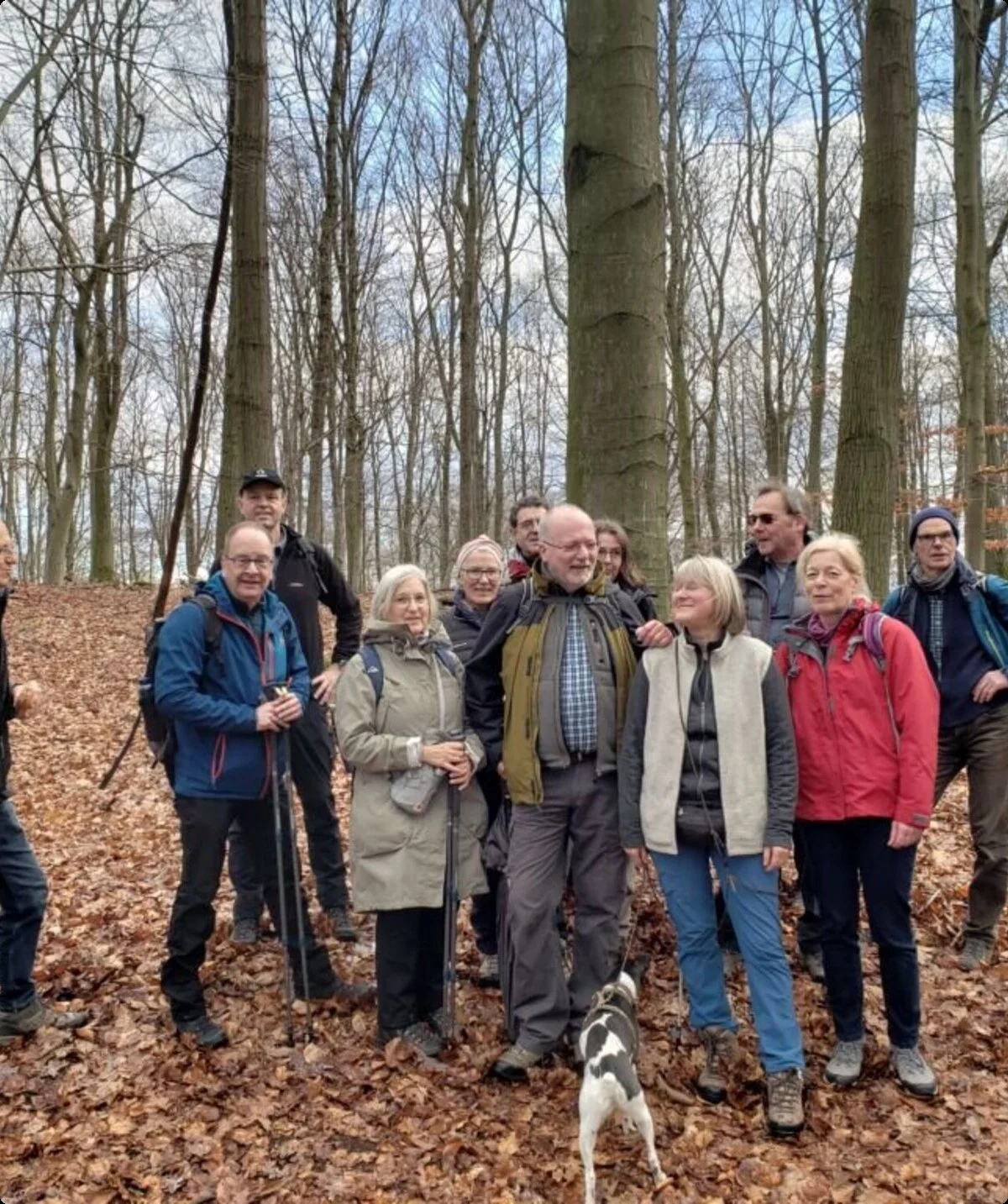 Gruppe älterer Wander*innen steht lachend im herbstlichen Buchenwald, Laub am Boden, Bäume ohne Blätter. | © DAV Dortmund