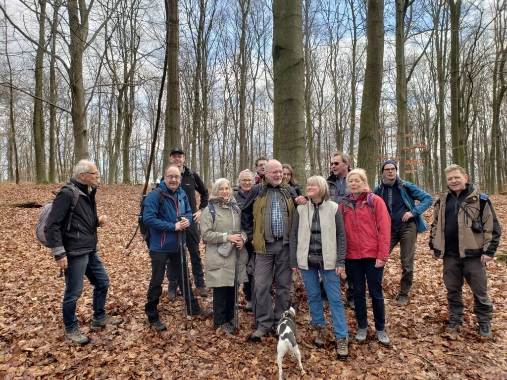 Gruppe älterer Wander*innen steht lachend im herbstlichen Buchenwald, Laub am Boden, Bäume ohne Blätter. | © DAV Dortmund