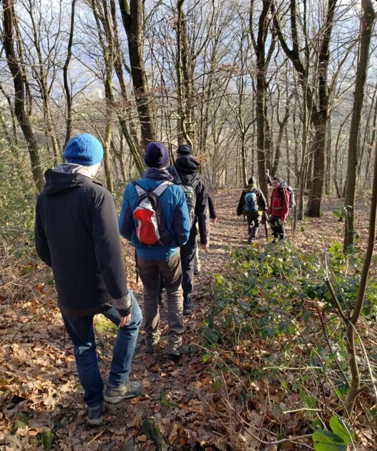 Personen wandern hintereinander auf einem mit Laub bedeckten Pfad durch einen kahlen Winterwald. | © DAV Dortmund