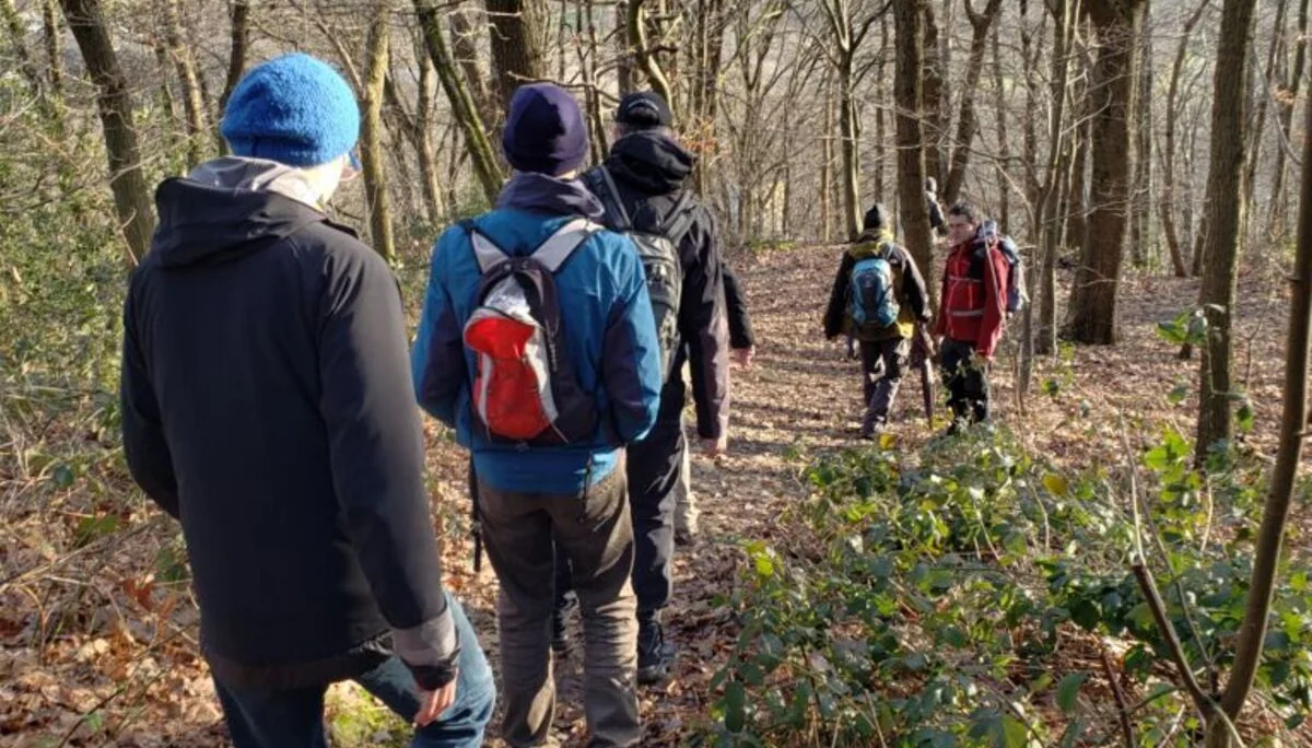 Personen wandern hintereinander auf einem mit Laub bedeckten Pfad durch einen kahlen Winterwald. | © DAV Dortmund