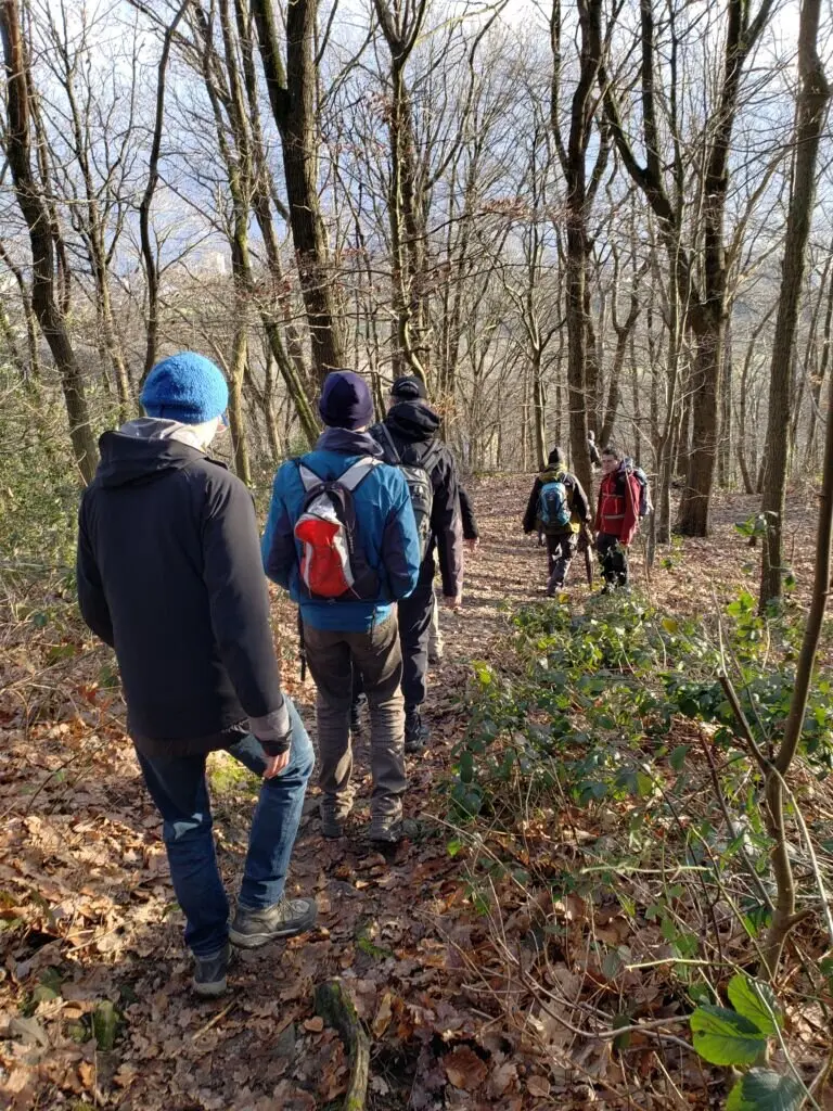 Personen wandern hintereinander auf einem mit Laub bedeckten Pfad durch einen kahlen Winterwald. | © DAV Dortmund