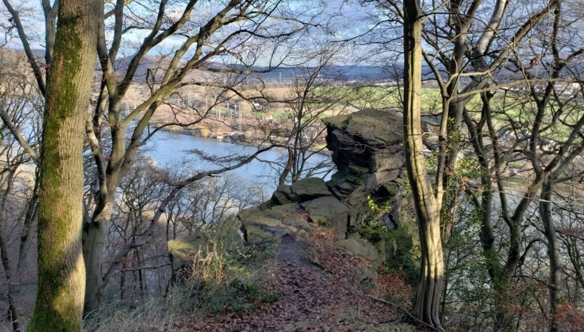 Blick durch kahle Bäume auf einen Felsen oberhalb eines breiten Flusstals bei Winterlicht. | © DAV Dortmund