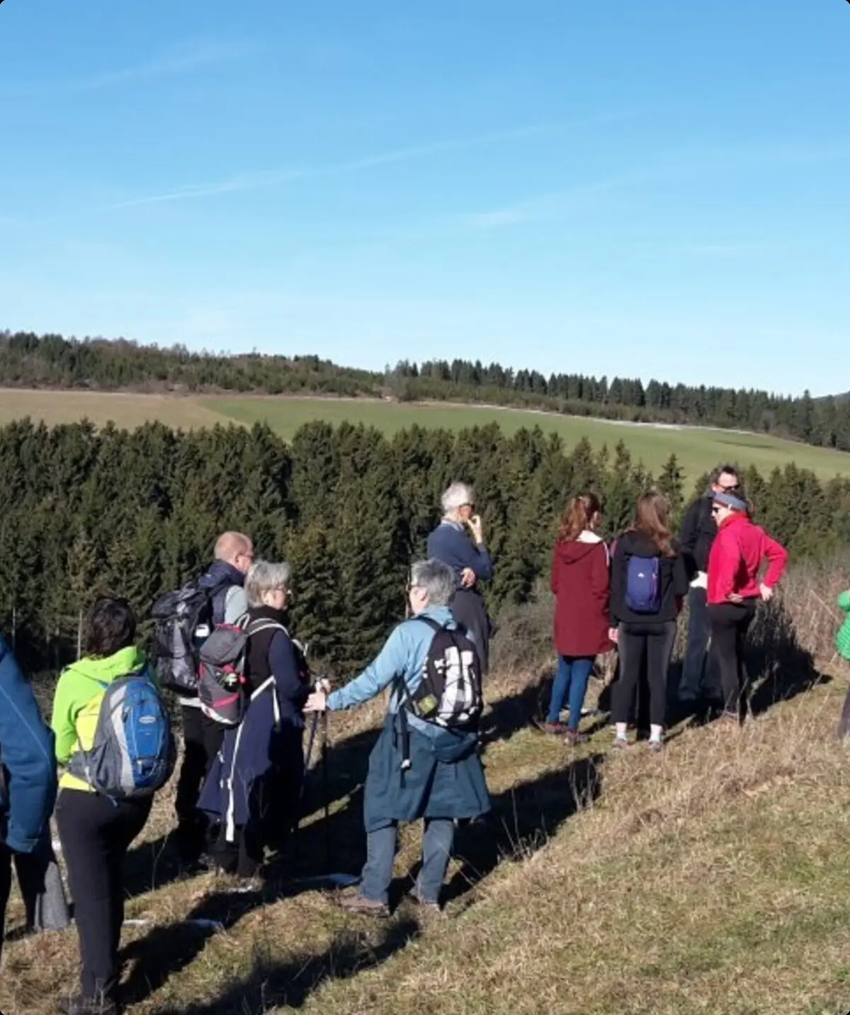 Wandergruppe steht auf einer Anhöhe mit Blick auf Wald und Felder unter blauem Himmel. | © DAV Dortmund