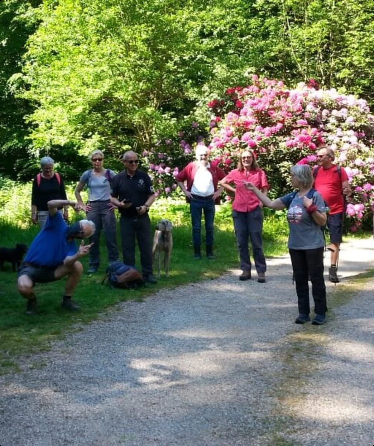 Eine Gruppe älterer Menschen steht auf einem Waldweg vor blühenden Sträuchern und bereitet sich auf eine Wanderung vor. | © DAV Dortmund