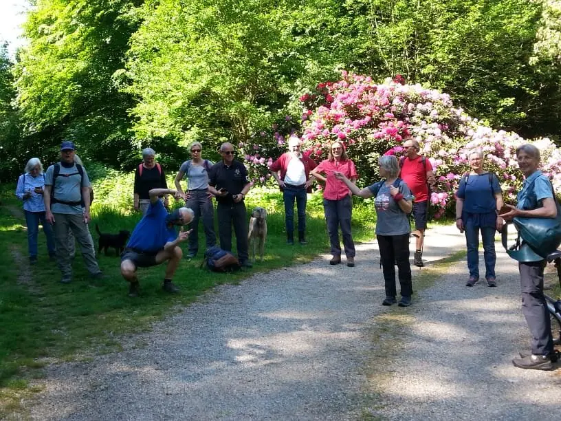 Eine Gruppe älterer Menschen steht auf einem Waldweg vor blühenden Sträuchern und bereitet sich auf eine Wanderung vor. | © DAV Dortmund