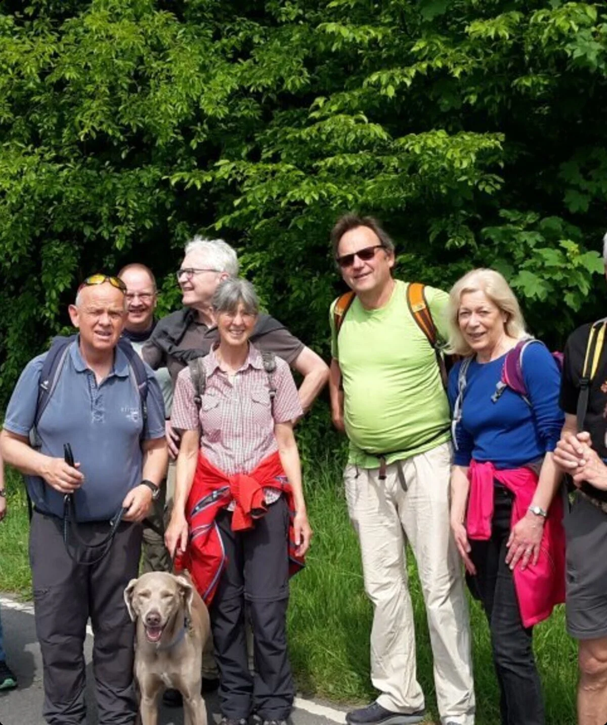 Wandergruppe mit Hund macht eine Pause am Waldrand neben einer Straße. | © DAV Dortmund
