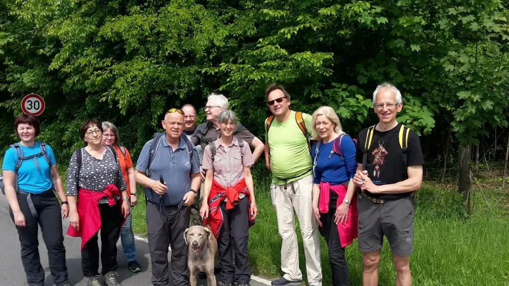 Wandergruppe mit Hund macht eine Pause am Waldrand neben einer Straße. | © DAV Dortmund
