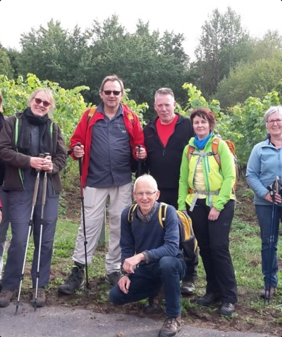 Zehn Wandernde stehen lächelnd vor einer grünen Weinberglandschaft. | © DAV Dortmund