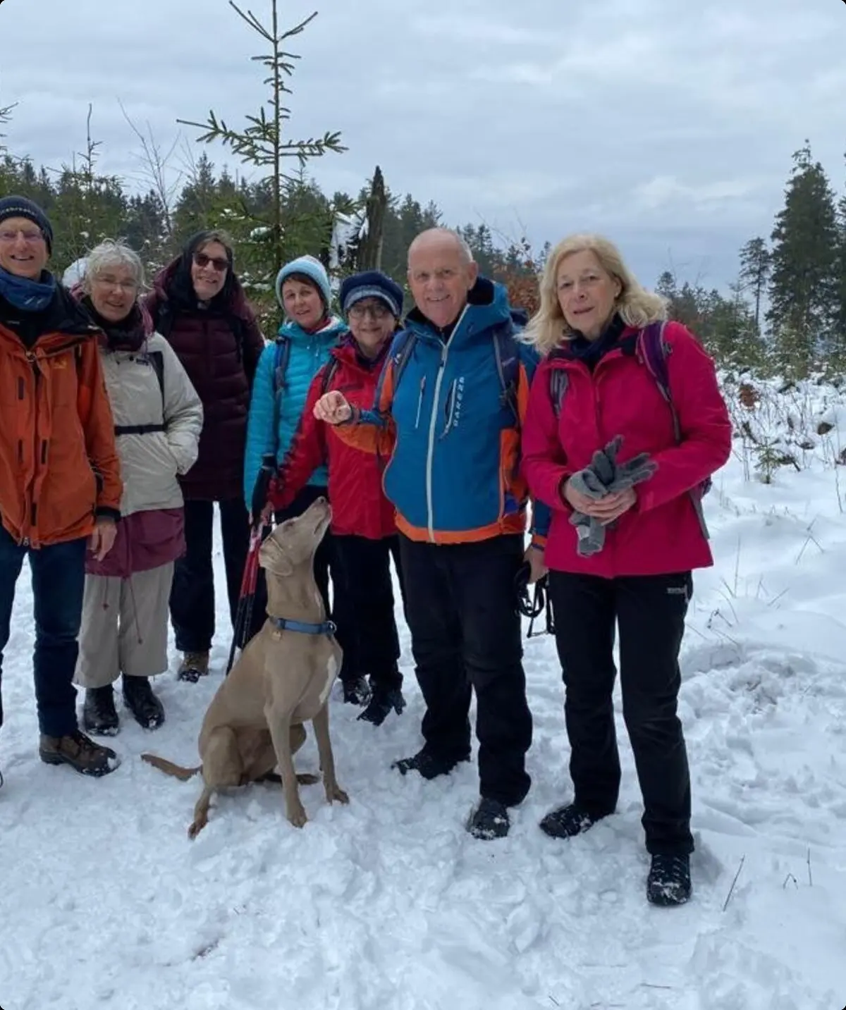Sieben Wandernde mit Hund stehen auf einem Winterweg im verschneiten Wald. | © DAV Dortmund