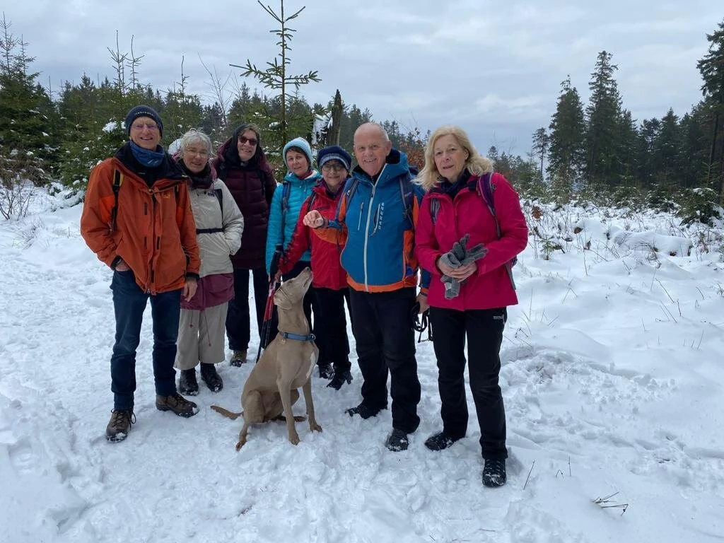 Sieben Wandernde mit Hund stehen auf einem Winterweg im verschneiten Wald. | © DAV Dortmund