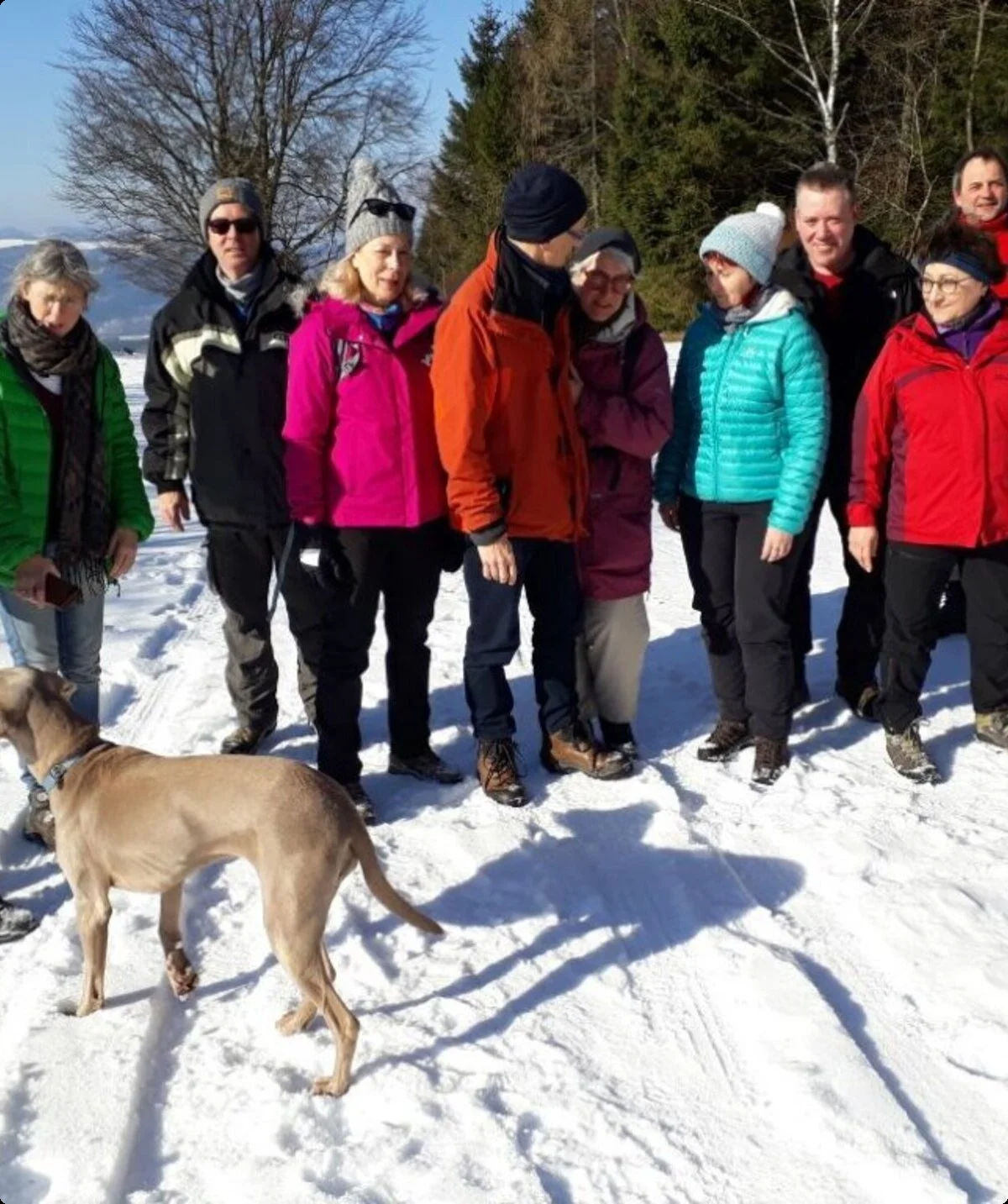 Eine Gruppe von 13 Personen mit Hund steht im Sonnenschein auf einem verschneiten Weg. | © DAV Dortmund