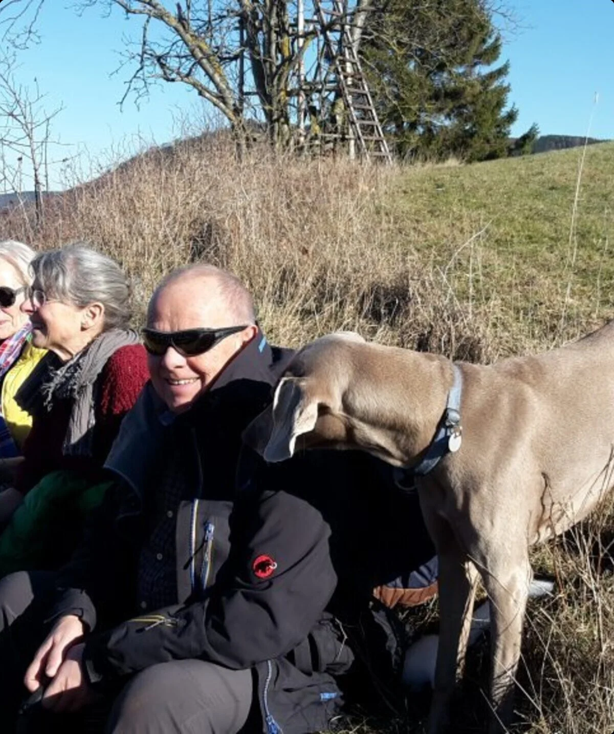 Vier Personen sitzen am Wegrand auf einer Bank, ein großer Hund steht daneben. | © DAV Dortmund
