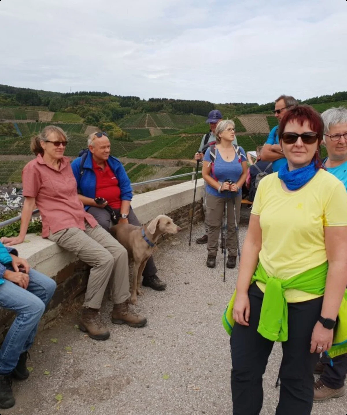Wandergruppe steht an einer Mauer mit Blick auf ein Moseltal mit Weinbergen. | © DAV Dortmund