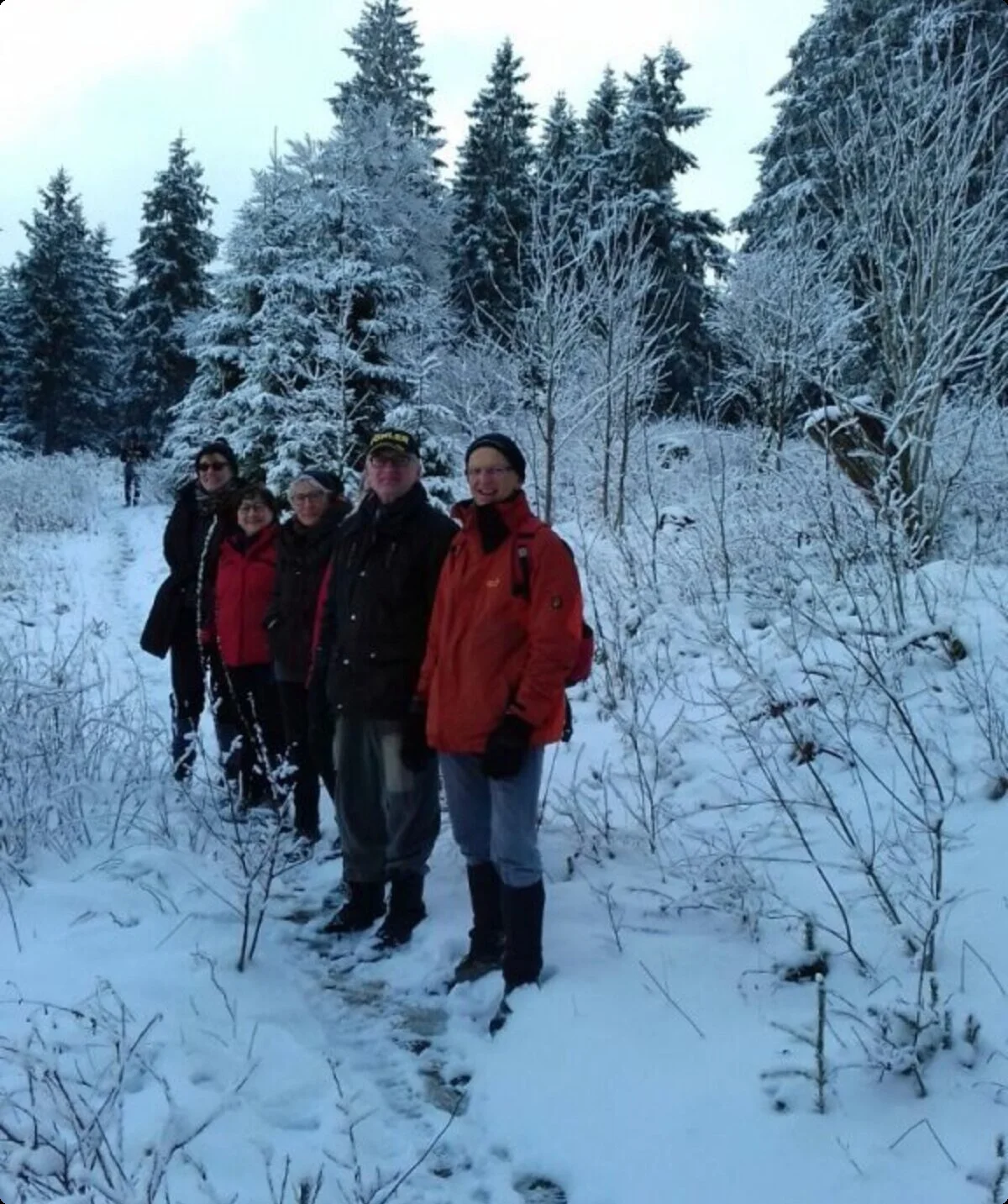 Eine Gruppe Wanderer steht auf einem verschneiten Pfad im Wald. | © DAV Dortmund
