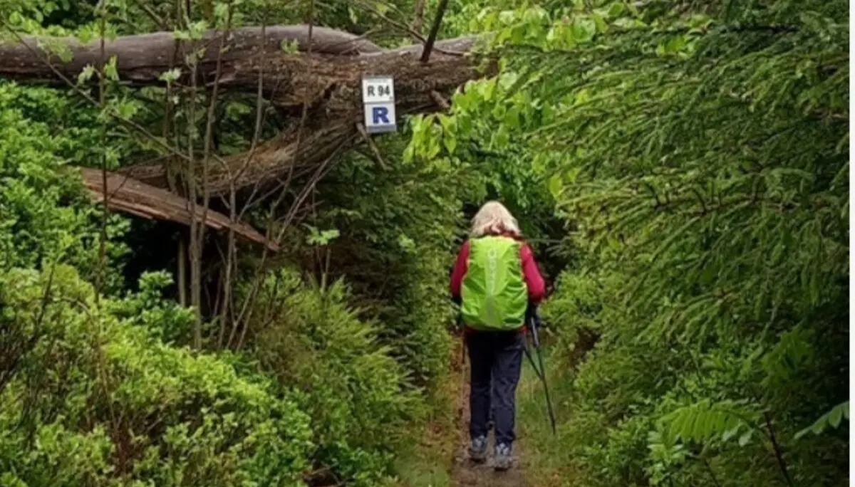 Frau im Wald | © DAV Dortmund