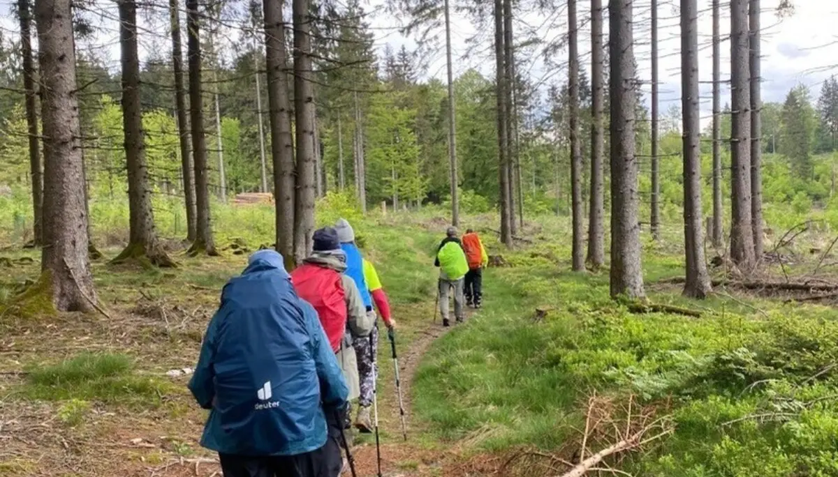 Gruppe von Wanderern im Wald - Bildunterschrift: Es geht immer weiter | © DAV Dortmund