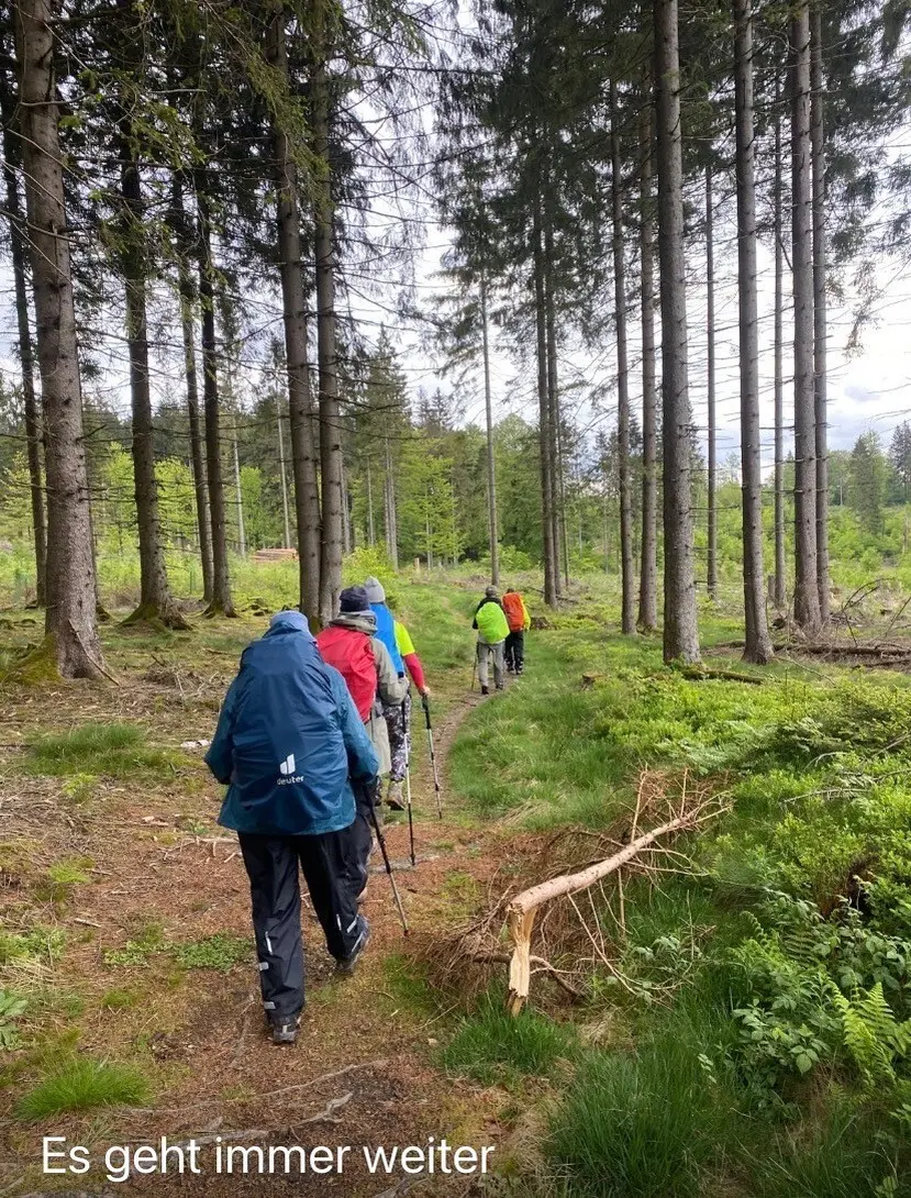 Gruppe von Wanderern im Wald - Bildunterschrift: Es geht immer weiter | © DAV Dortmund
