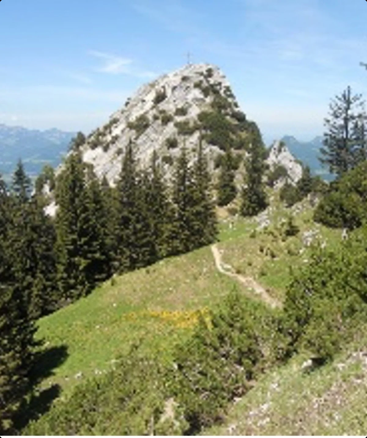 Ein markanter Berg mit Gipfelkreuz, umgeben von Wäldern und Alpenpanorama bei blauem Himmel. | © DAV Dortmund