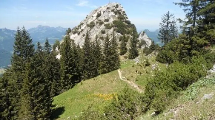 Ein markanter Berg mit Gipfelkreuz, umgeben von Wäldern und Alpenpanorama bei blauem Himmel. | © DAV Dortmund