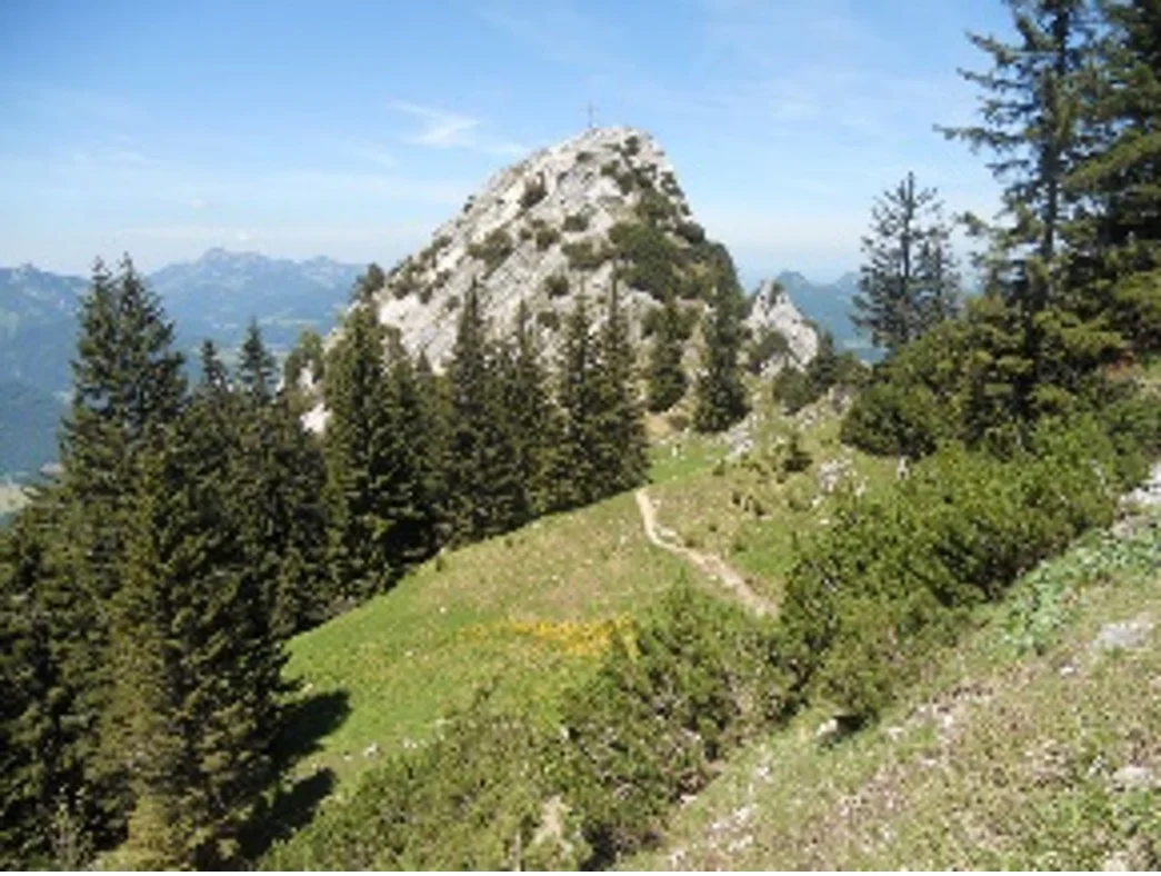 Ein markanter Berg mit Gipfelkreuz, umgeben von Wäldern und Alpenpanorama bei blauem Himmel. | © DAV Dortmund