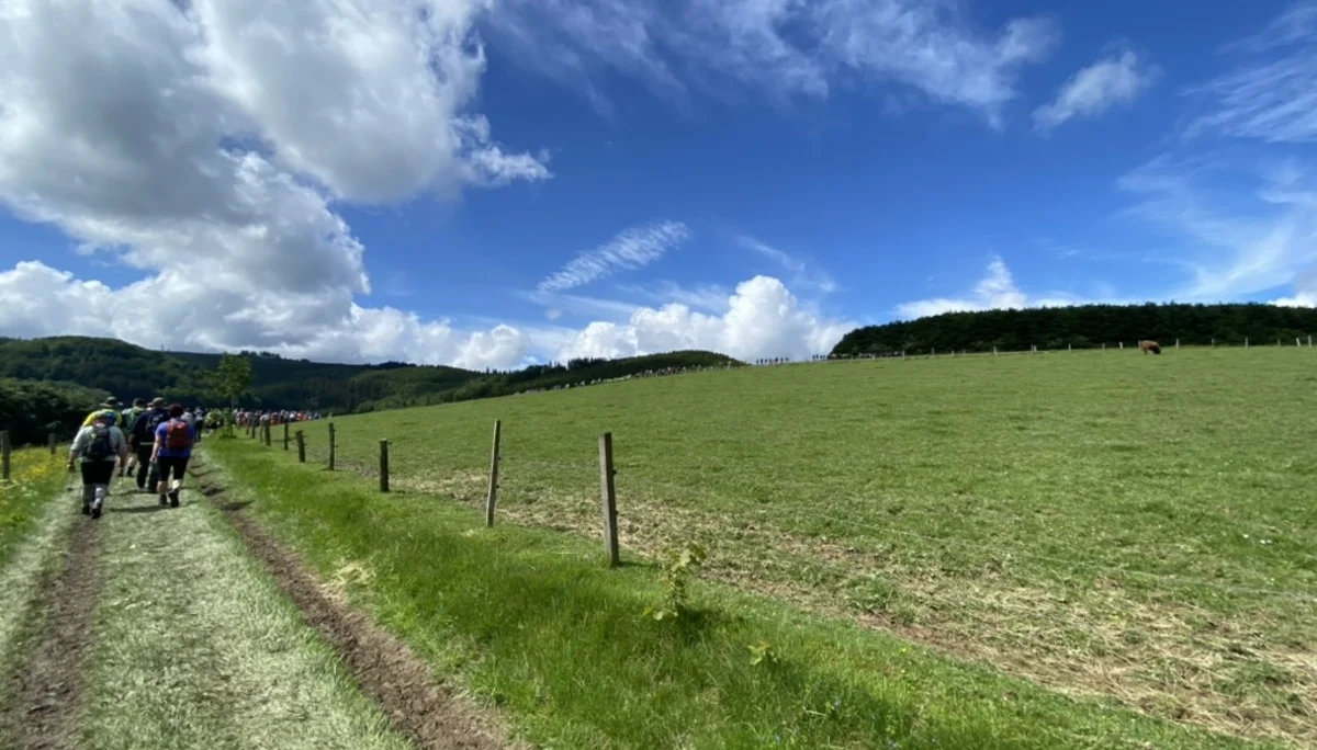Gruppe wandert auf einem Grasweg entlang einer weiten Wiese unter blauem Himmel mit Wolken. | © DAV Dortmund