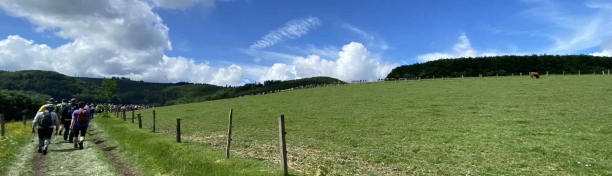 Gruppe wandert auf einem Grasweg entlang einer weiten Wiese unter blauem Himmel mit Wolken. | © DAV Dortmund