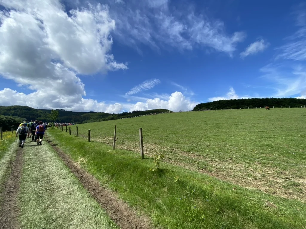 Gruppe wandert auf einem Grasweg entlang einer weiten Wiese unter blauem Himmel mit Wolken. | © DAV Dortmund
