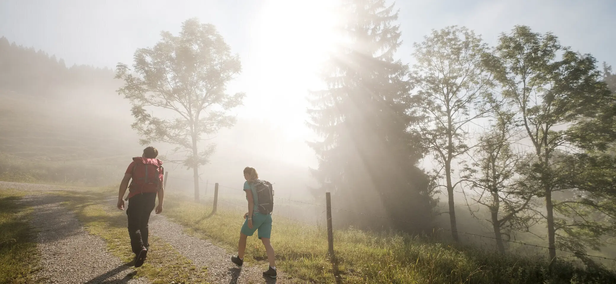 Gemeinsamer Aufstieg bei Sonnenaufgang - die Sonne scheint durch den Nebel | © DAV/Hans Herbig