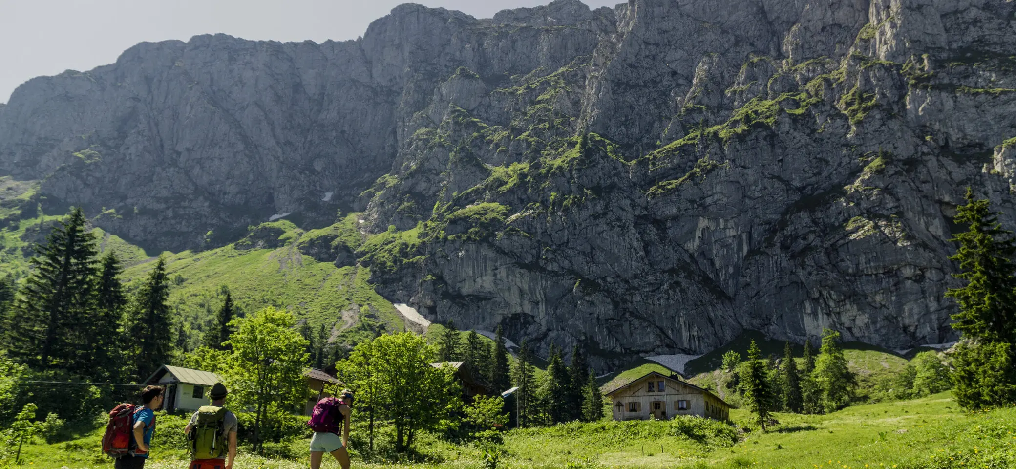 Drei Wanderer auf den grünen Berghängen der Chiemgauer Alpen | © DAV/Hans Herbig