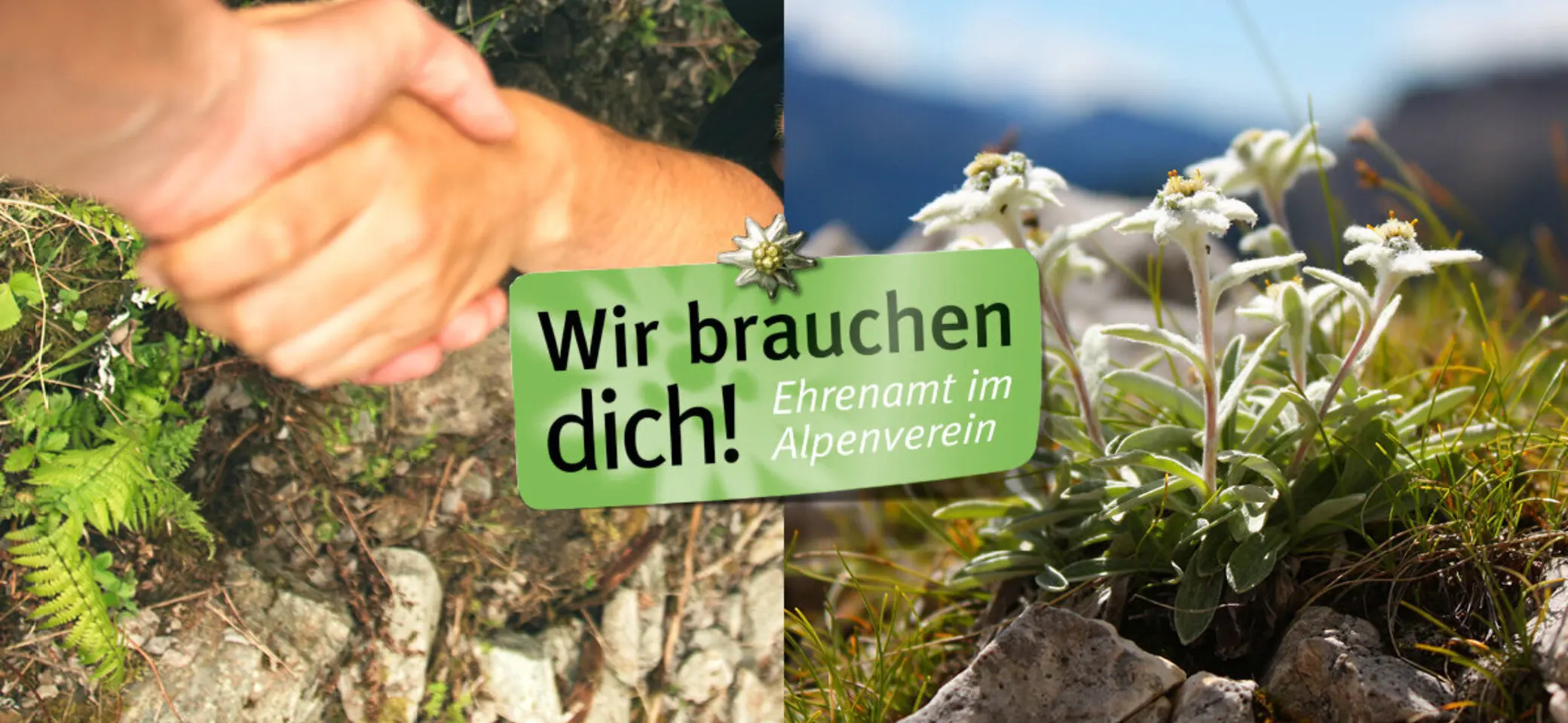 Bildmotiv "Ehrenamt: Wir brauchen Dich" - Imagefoto | © DAV